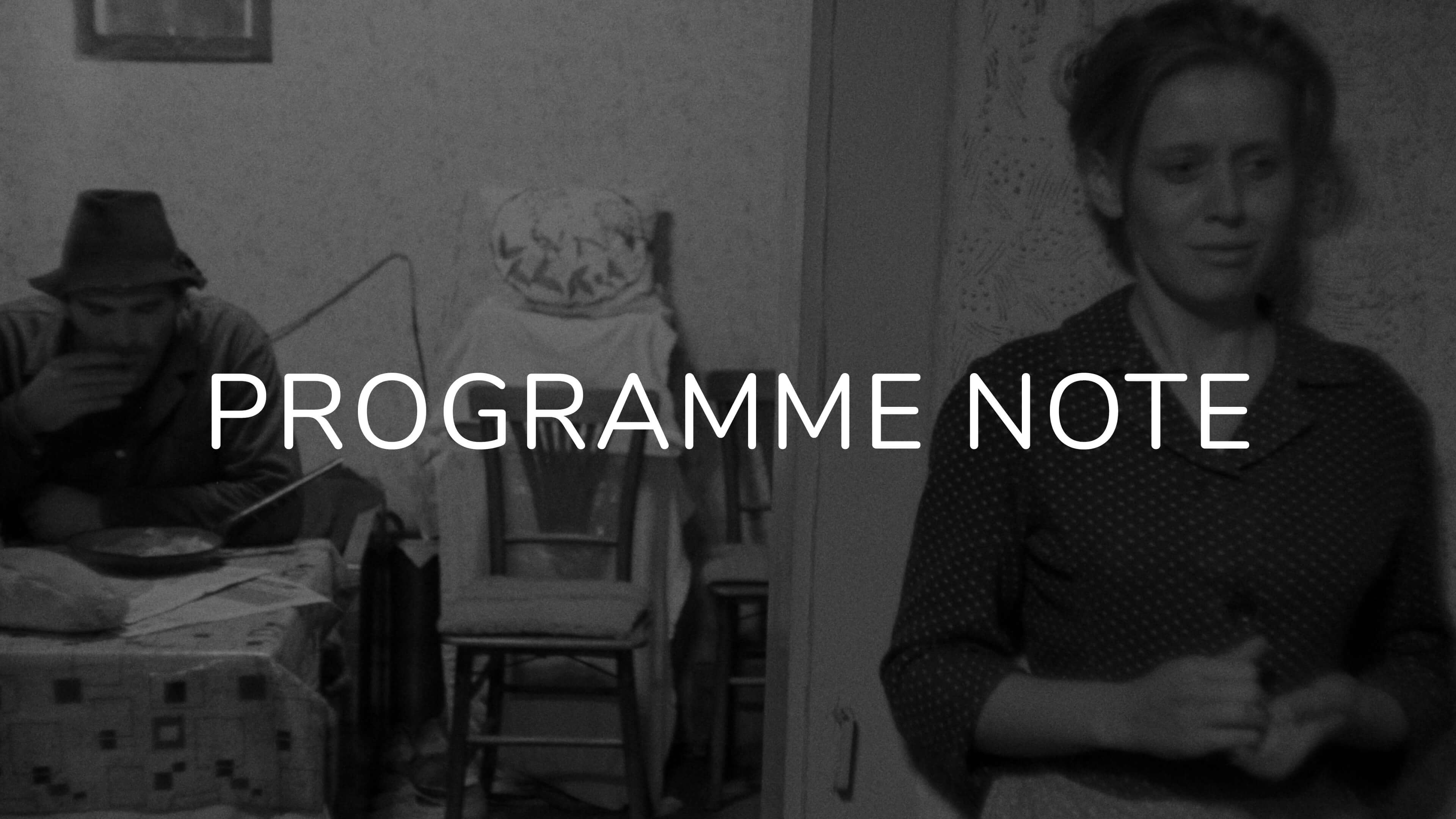 Notes on Man Is Not a Bird