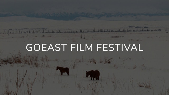 goEast Film Festival: Rethinking Post-Soviet Cinema. 27 April - 18 May 2023