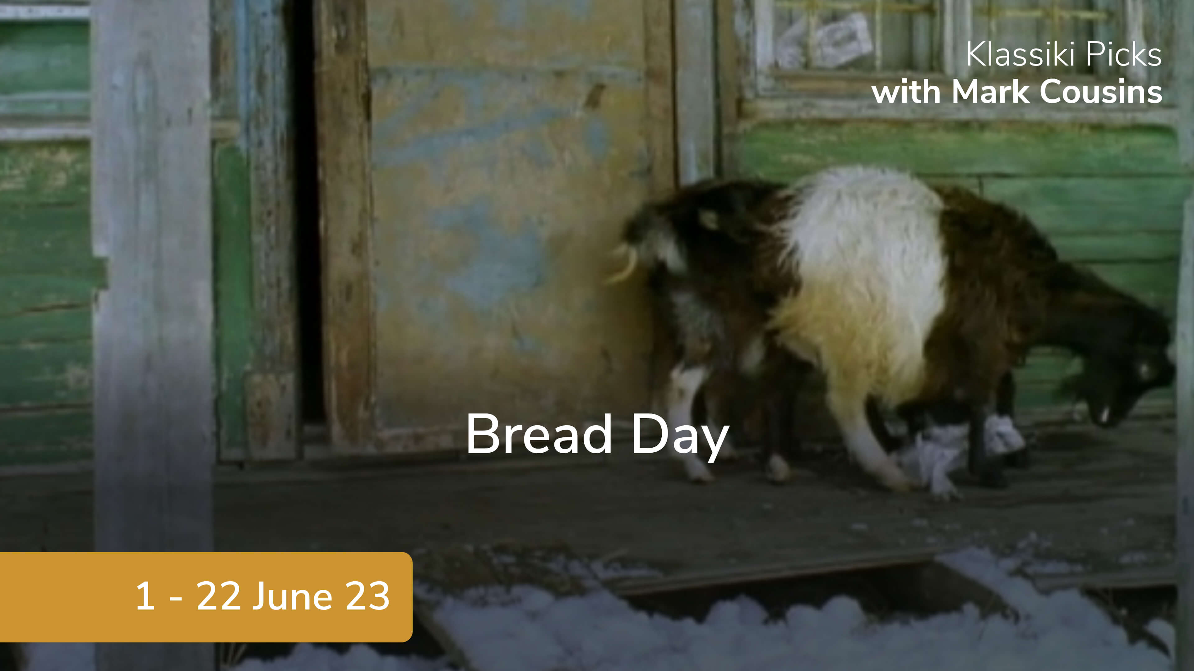 Bread Day