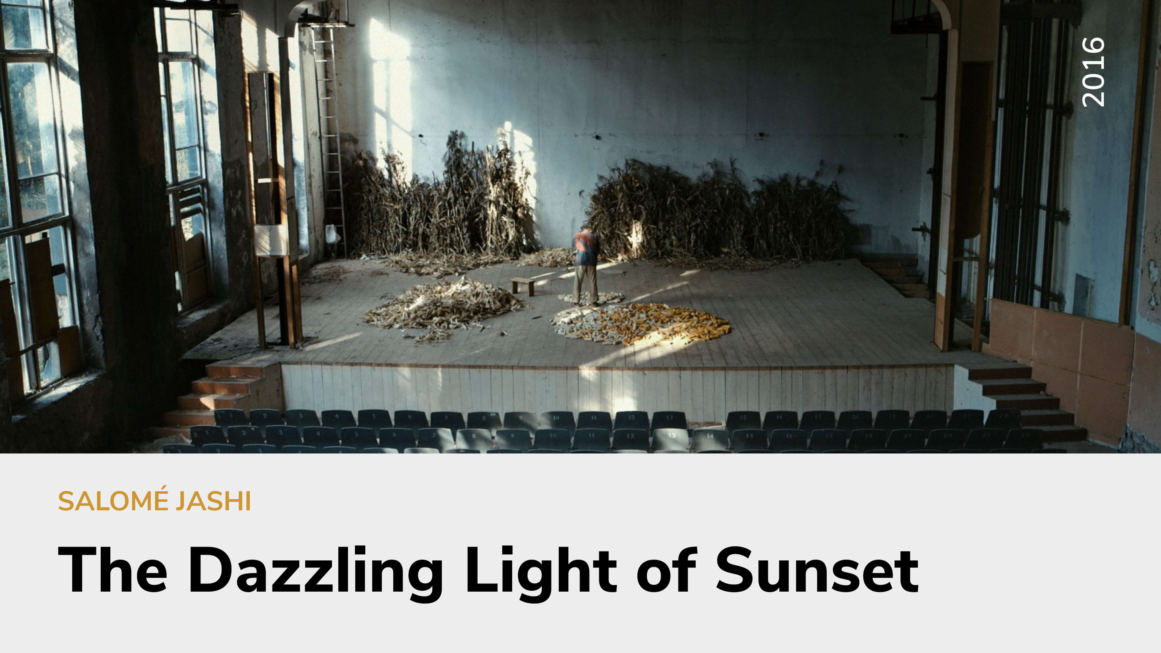 The Dazzling Light of Sunset