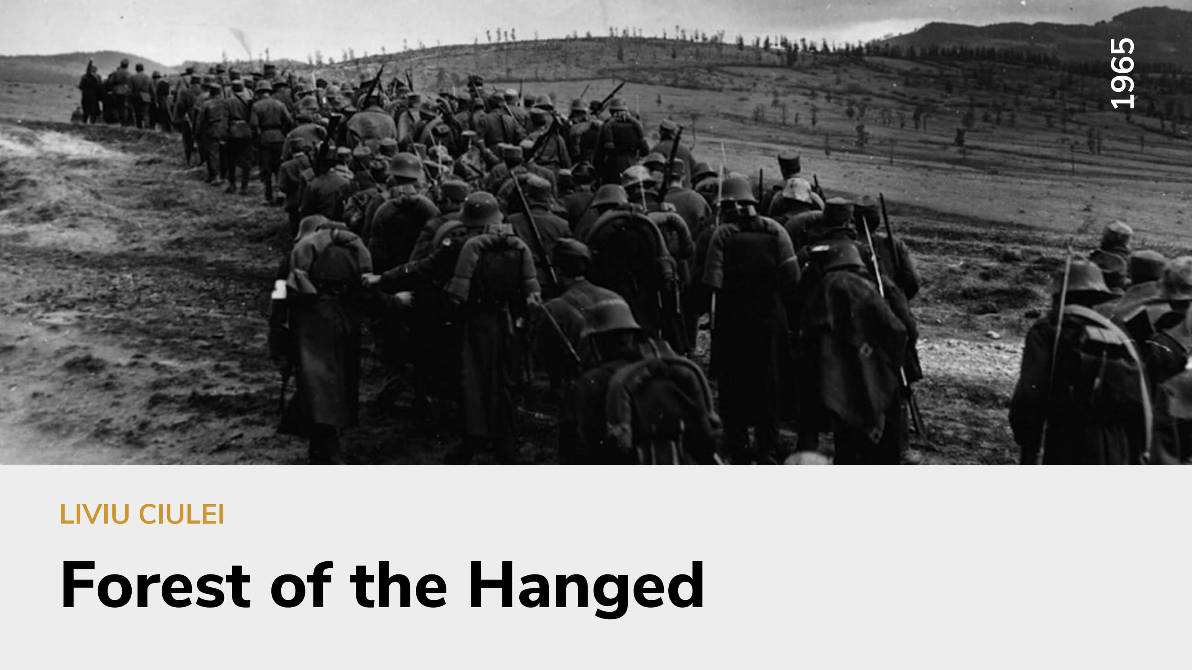 Forest of the Hanged