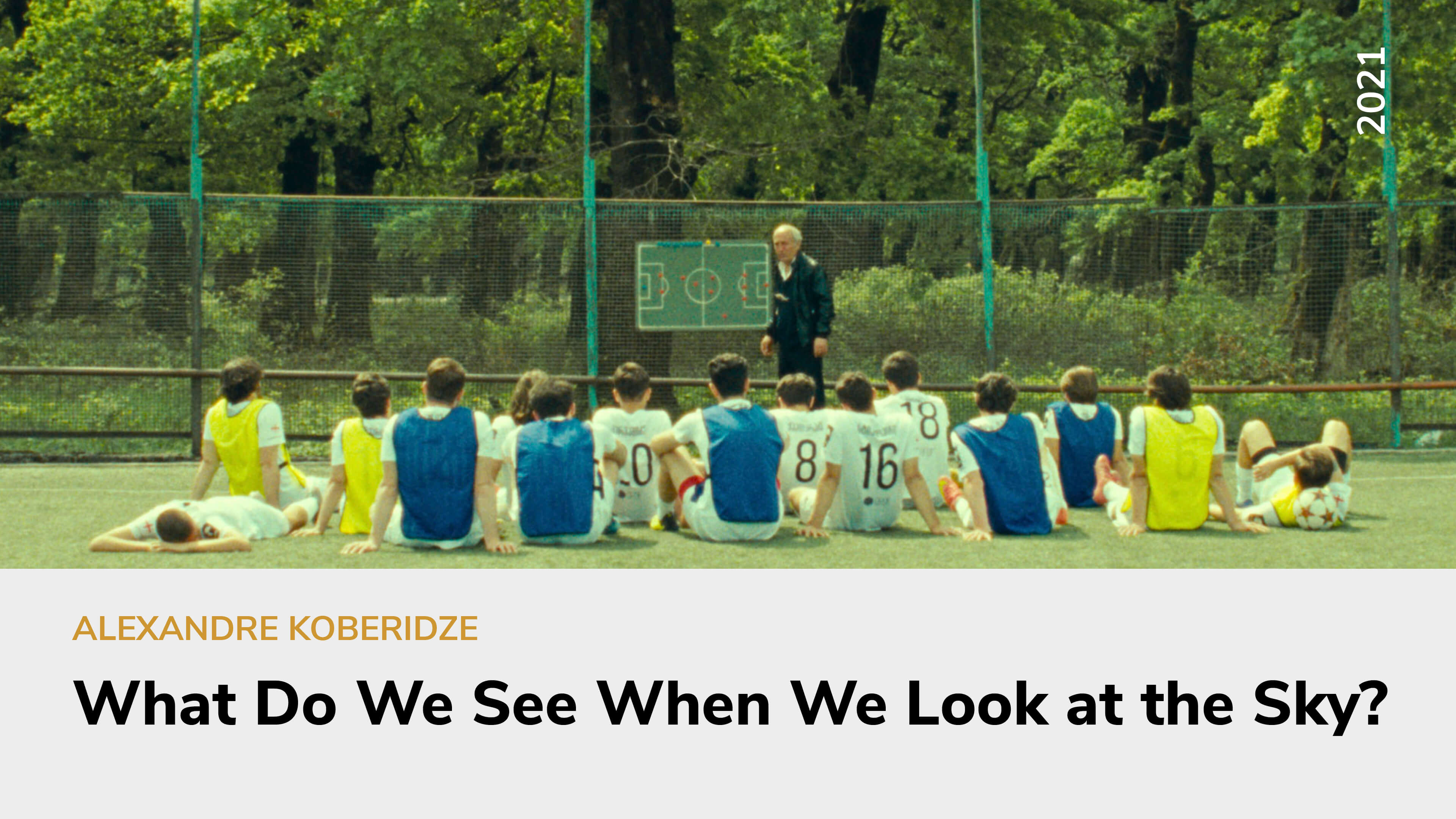 What Do We See When We Look at the Sky?