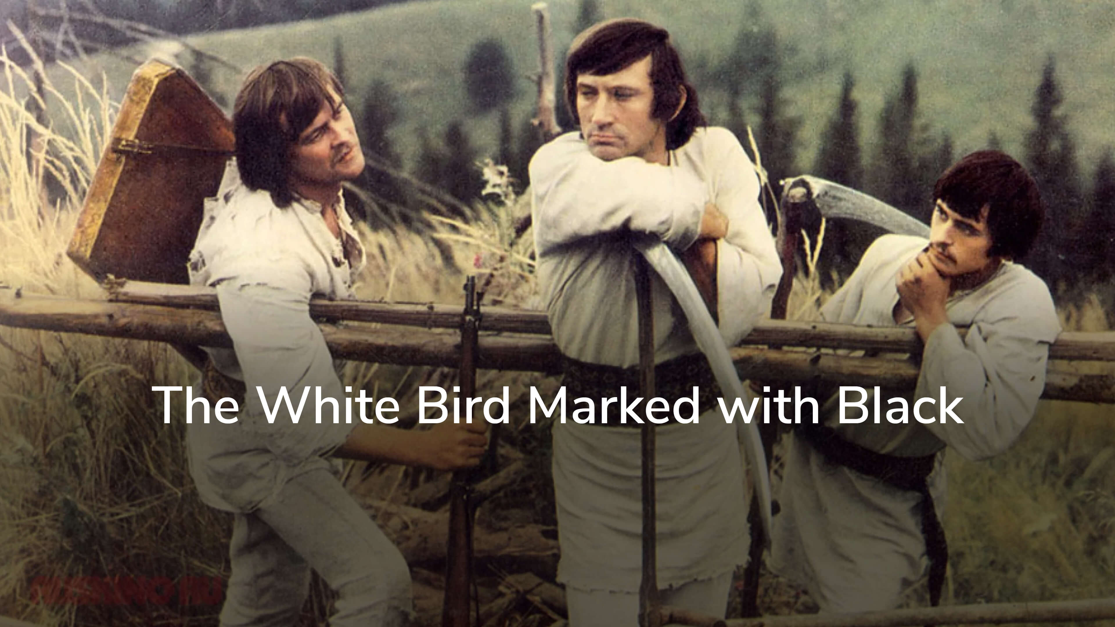 The White Bird Marked with Black