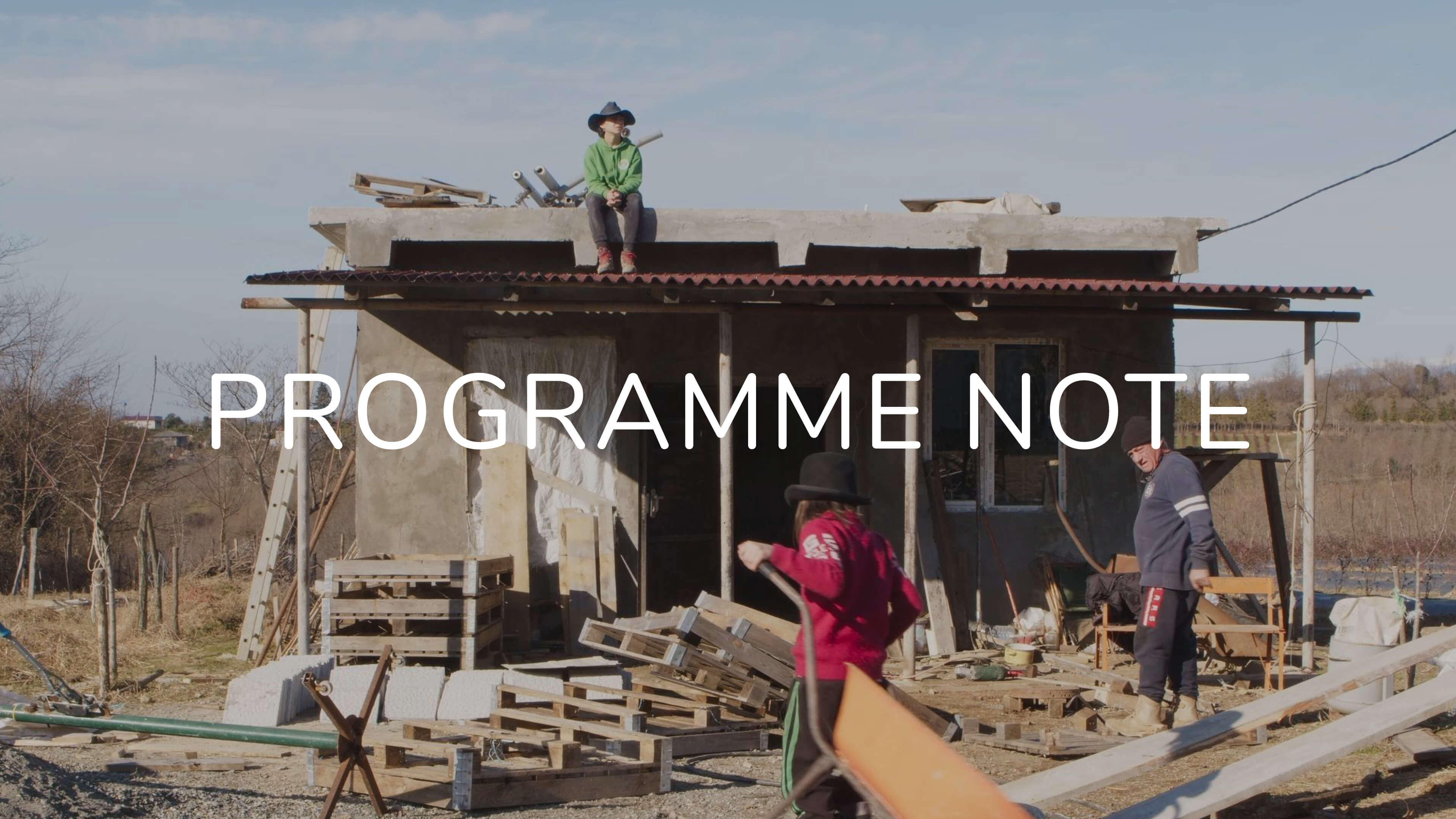 Notes on Blueberry Dreams