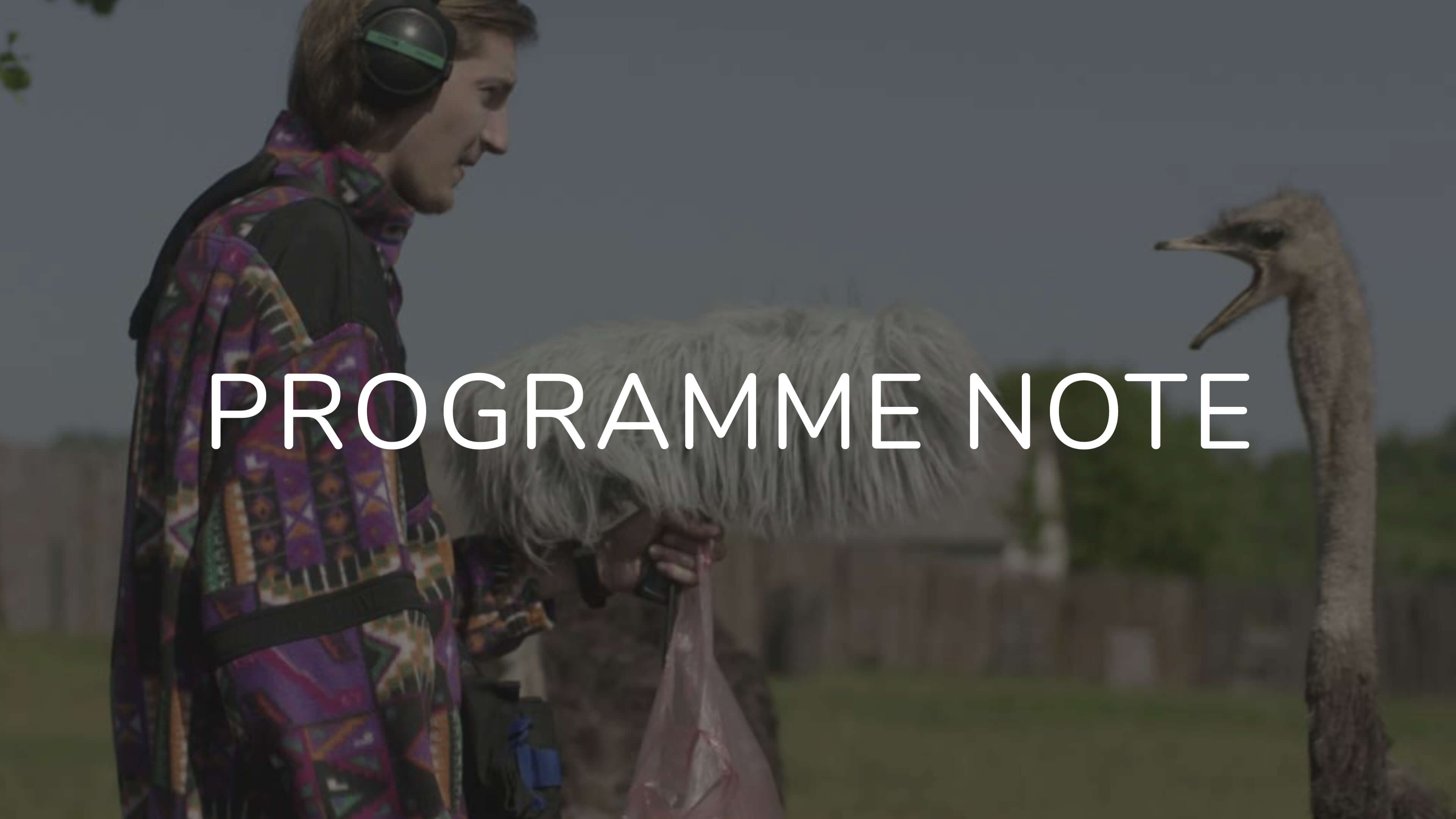 Notes on My Thoughts Are Silent