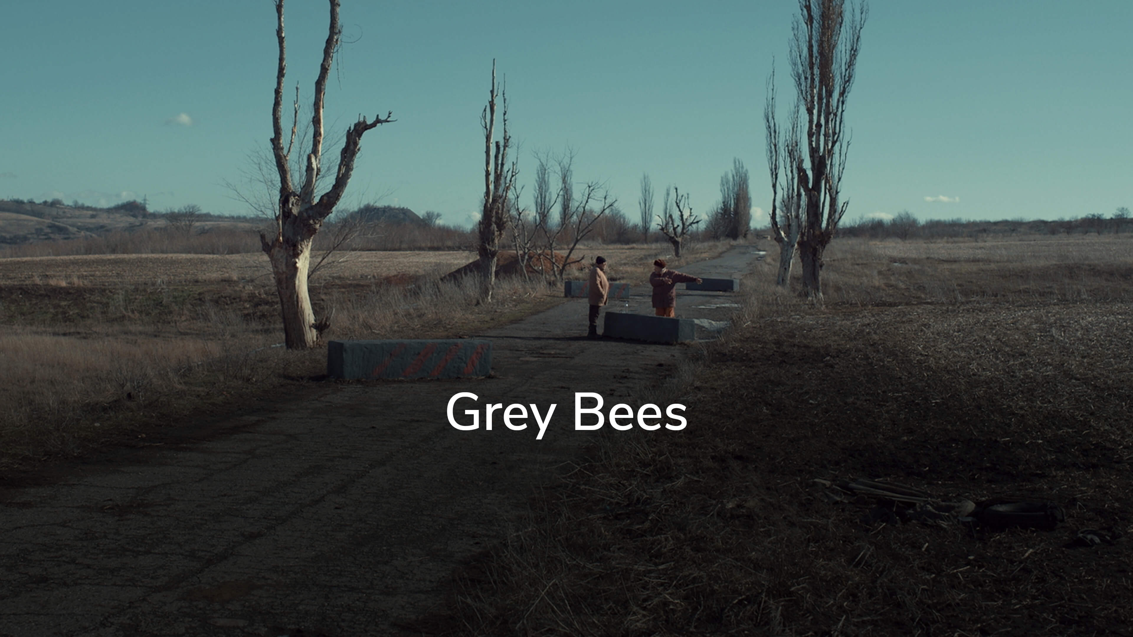 Grey Bees
