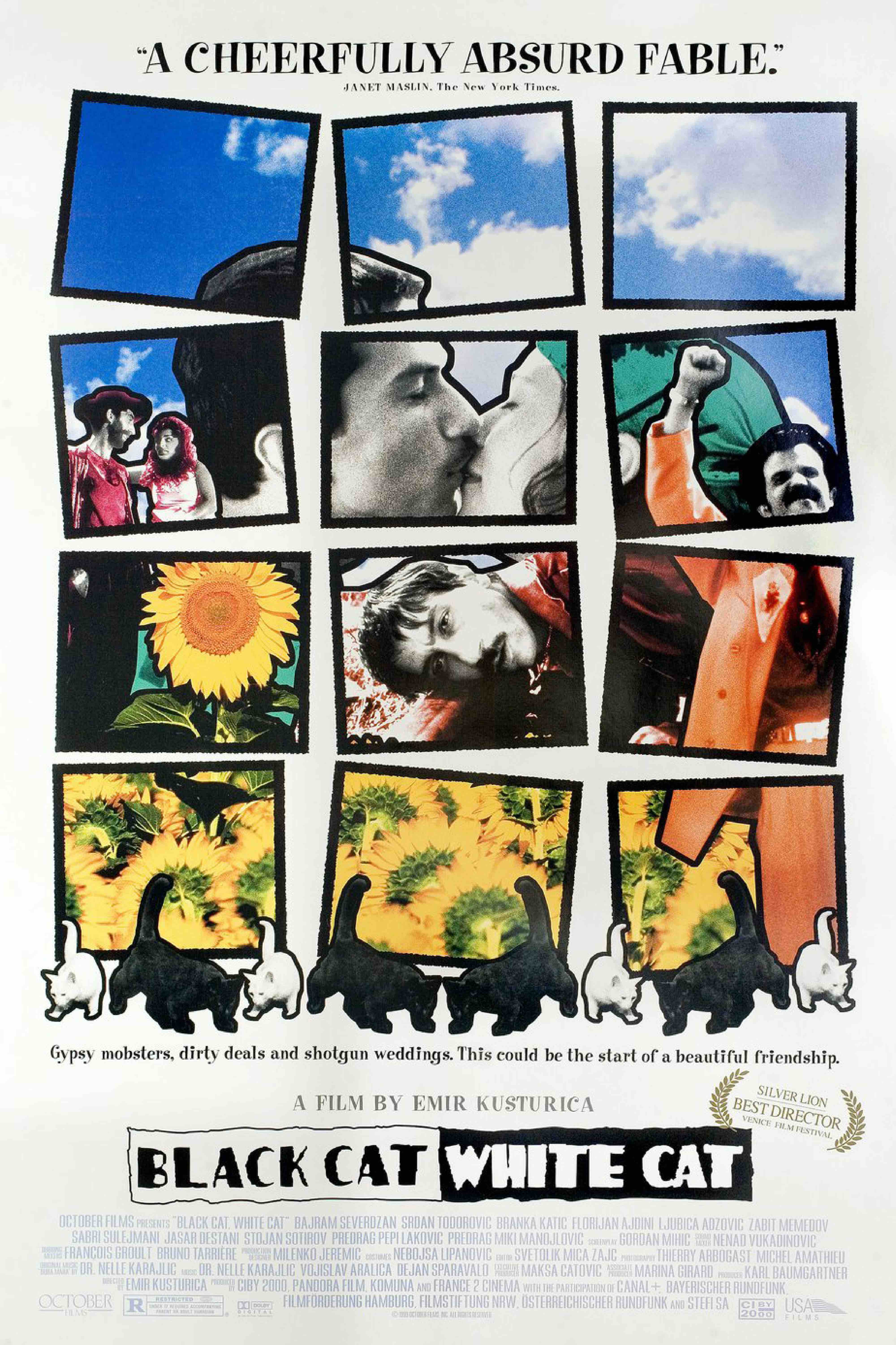 Black Cat, White Cat