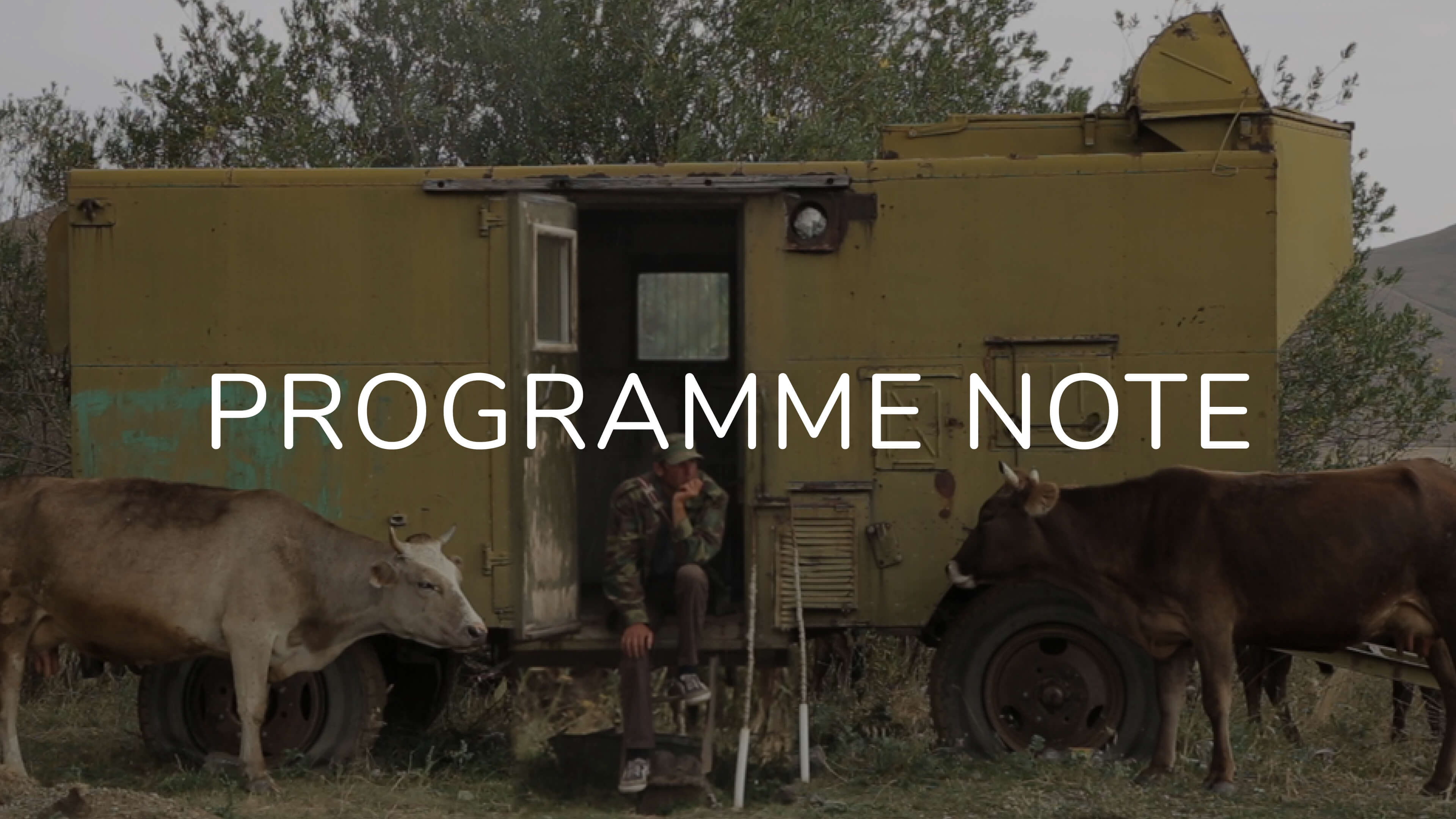 Notes on 5 Dreamers and a Horse