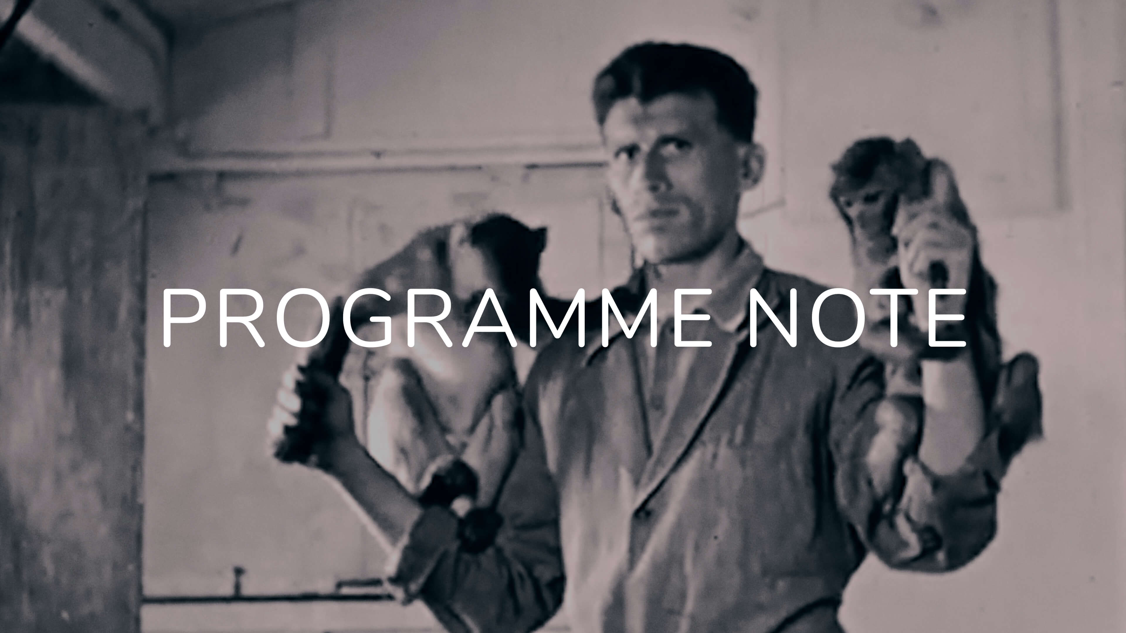 Notes on What We Shared