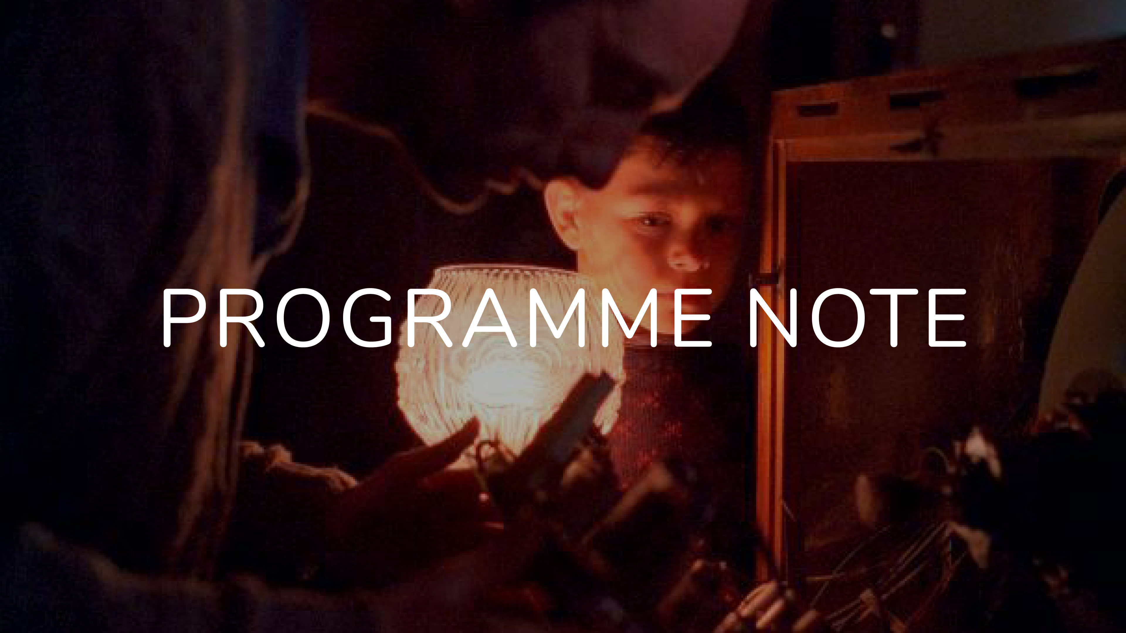 Notes on the short films of Radu Jude