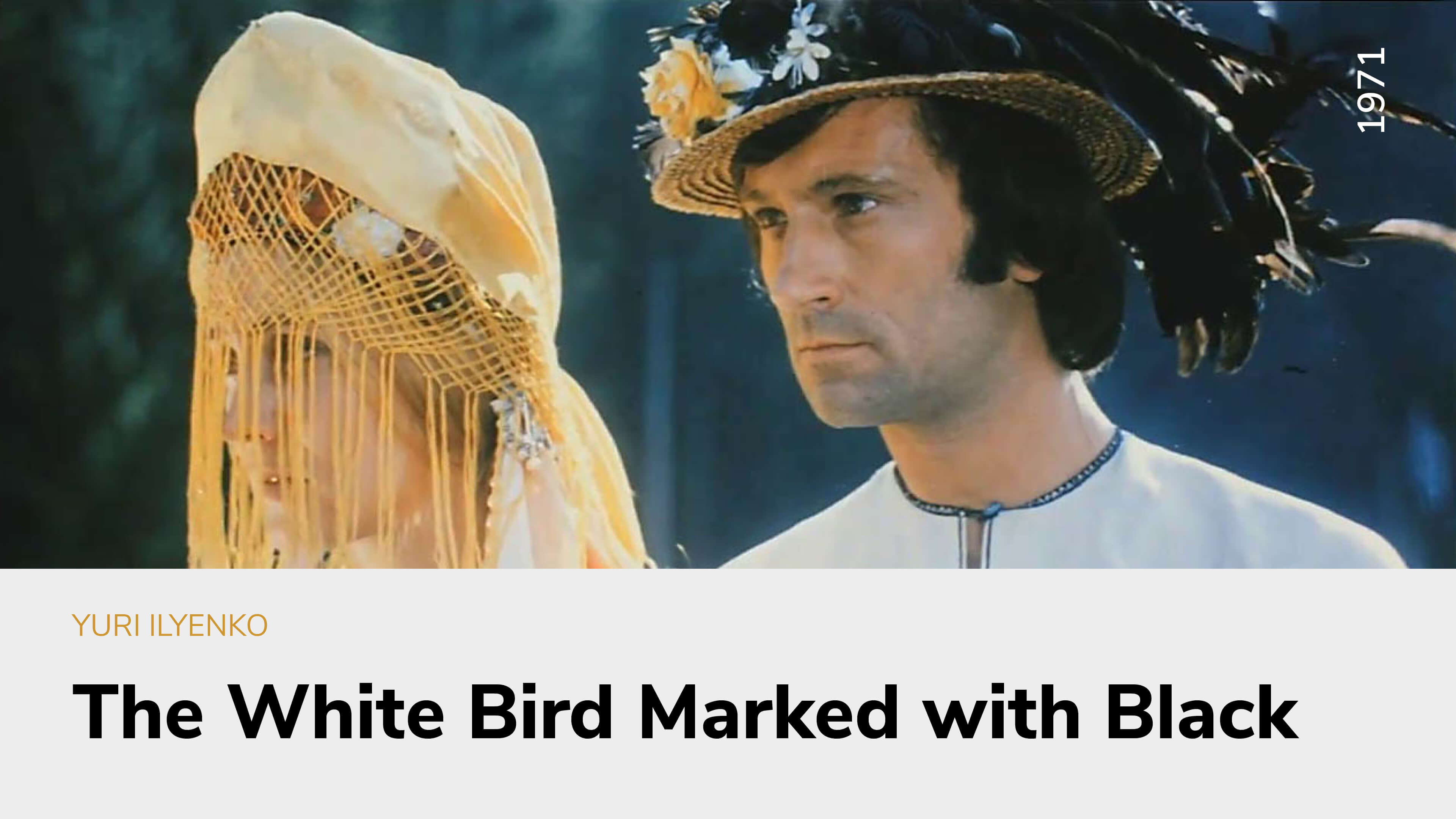 The White Bird Marked with Black