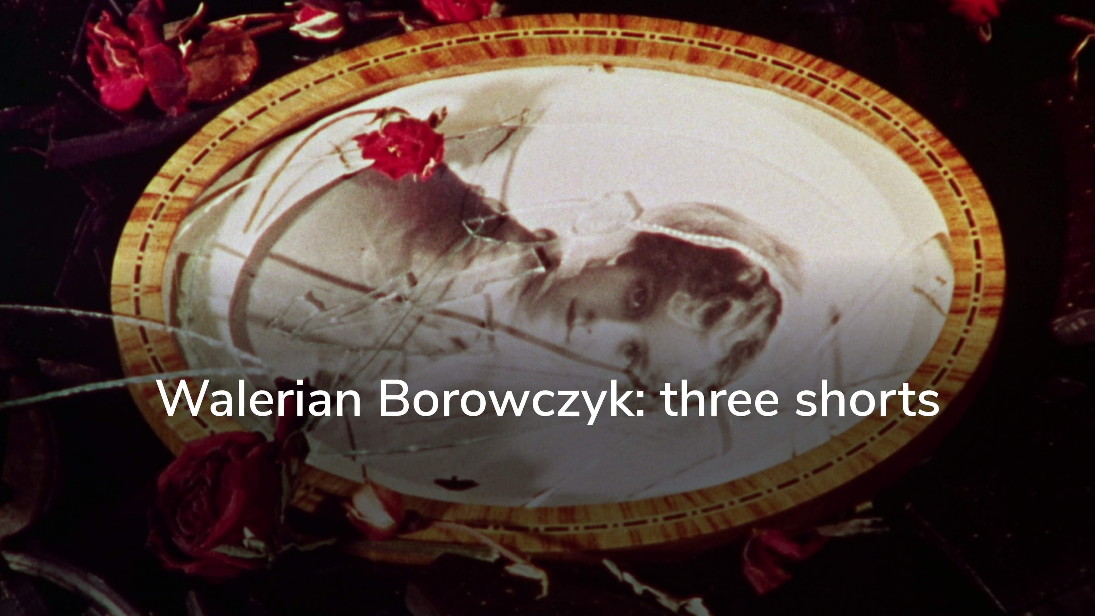 Walerian Borowczyk Venus On The Half Shell films.klassiki.online
