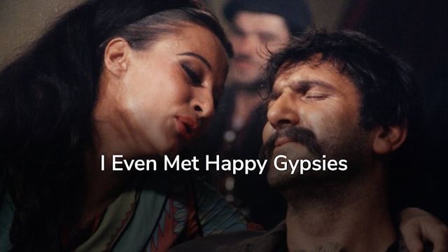 I Even Met Happy Gypsies