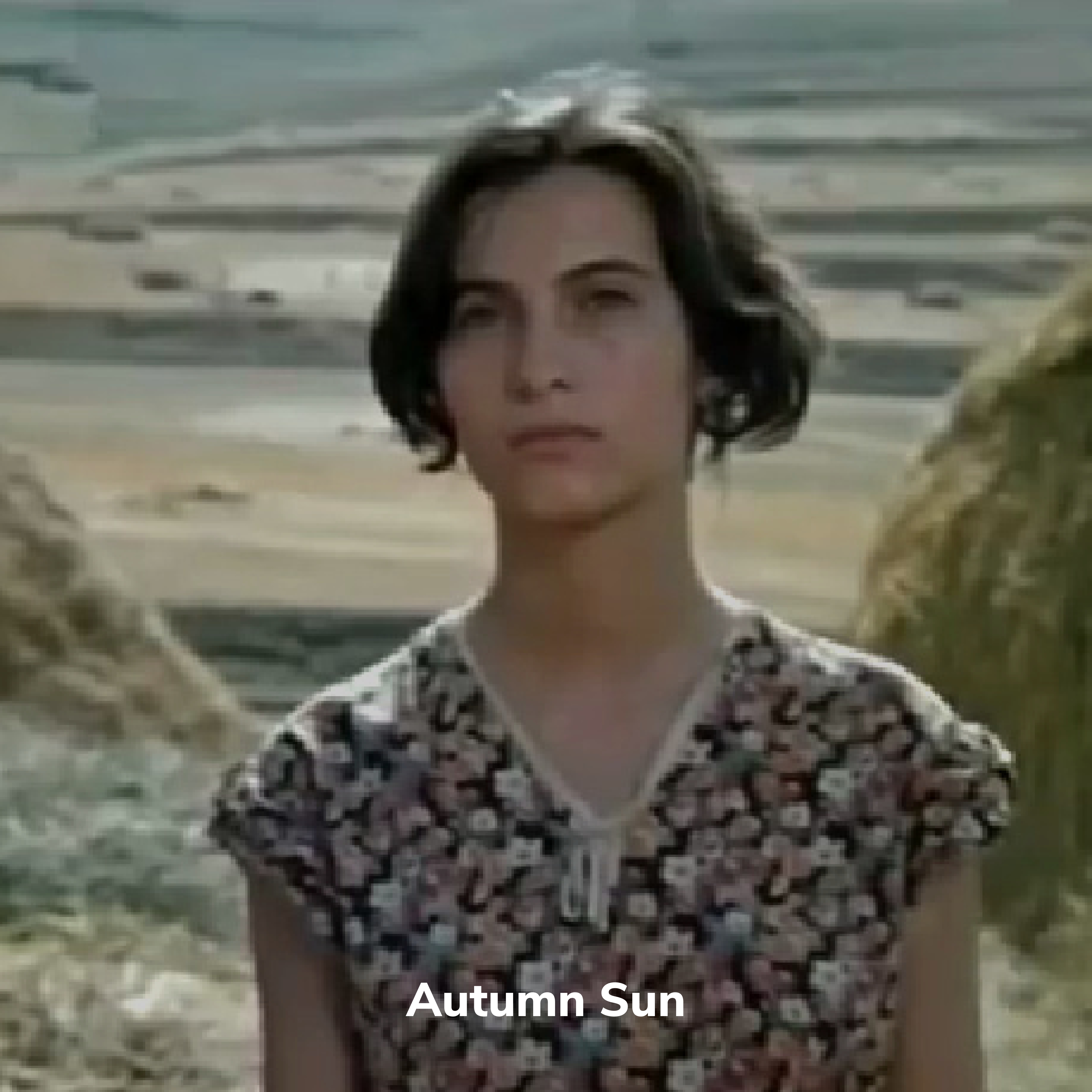 Autumn Sun
