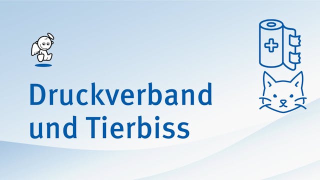 04 Druckverband Tierbiss