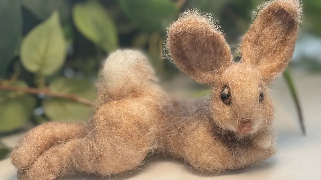Felted Rabbit Riding Felted Bunny Kit instructional Video - Knotted Theory Online Tutorials