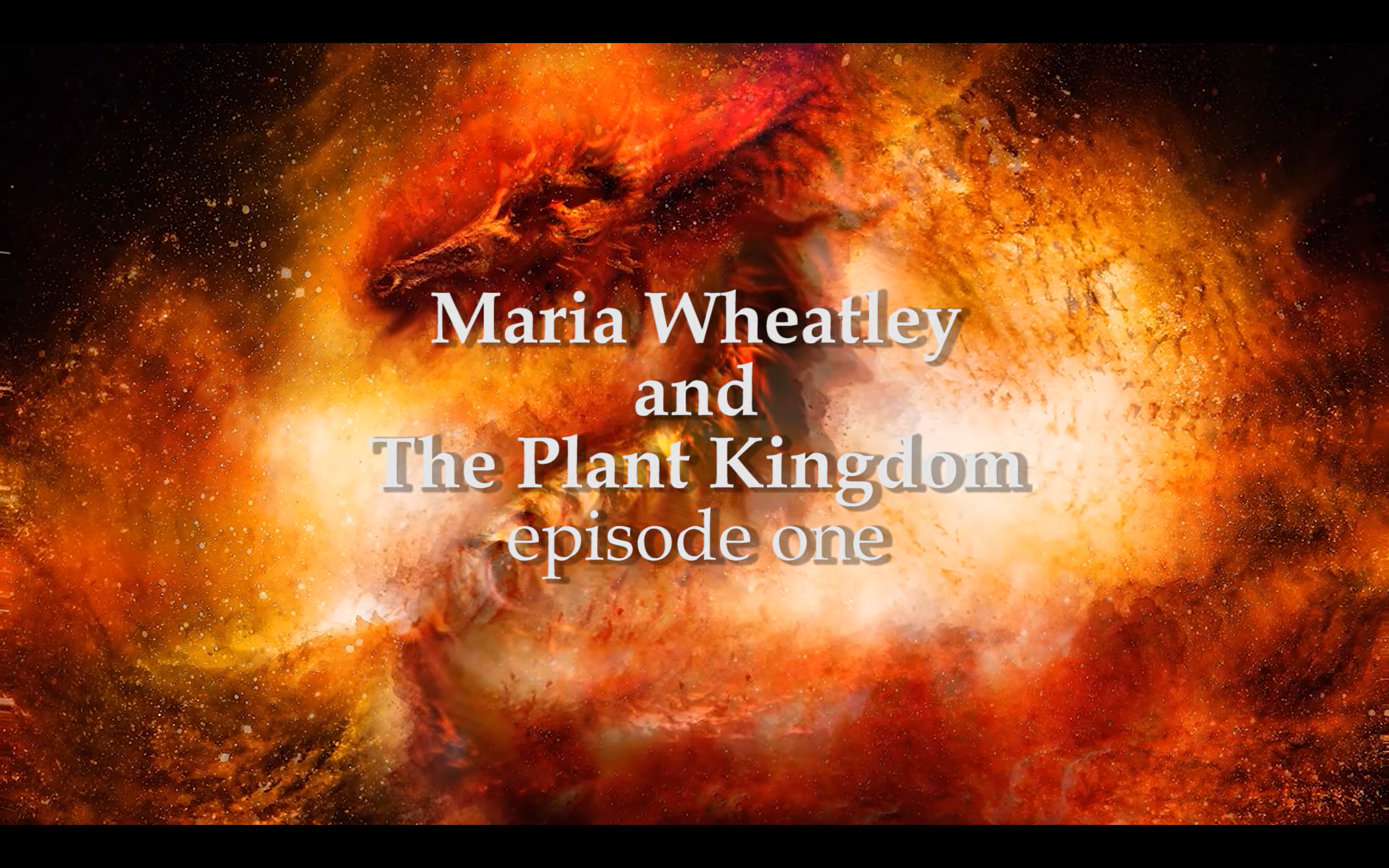 Knowledge Portal Video