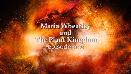 Knowledge Portal Video