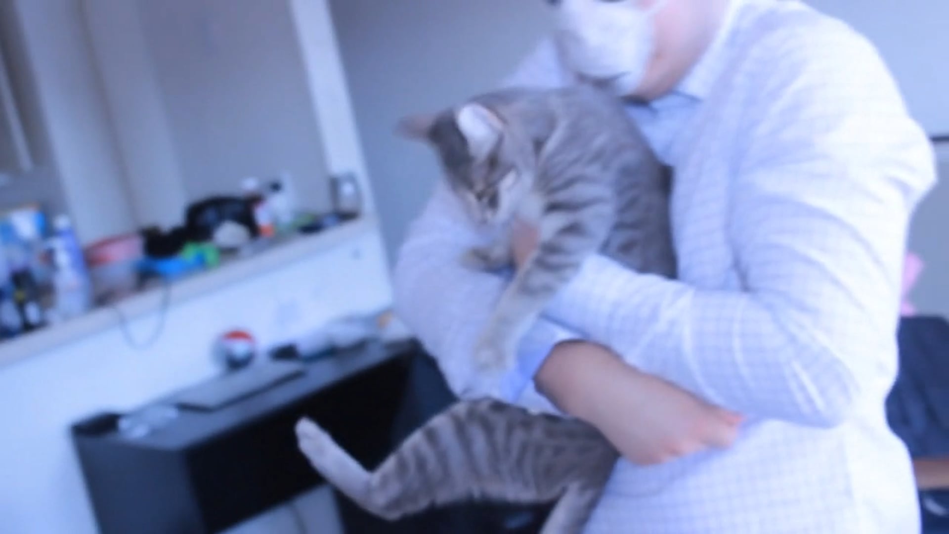 CAT POSSESSED NOT CLICK BAIT Episode 12