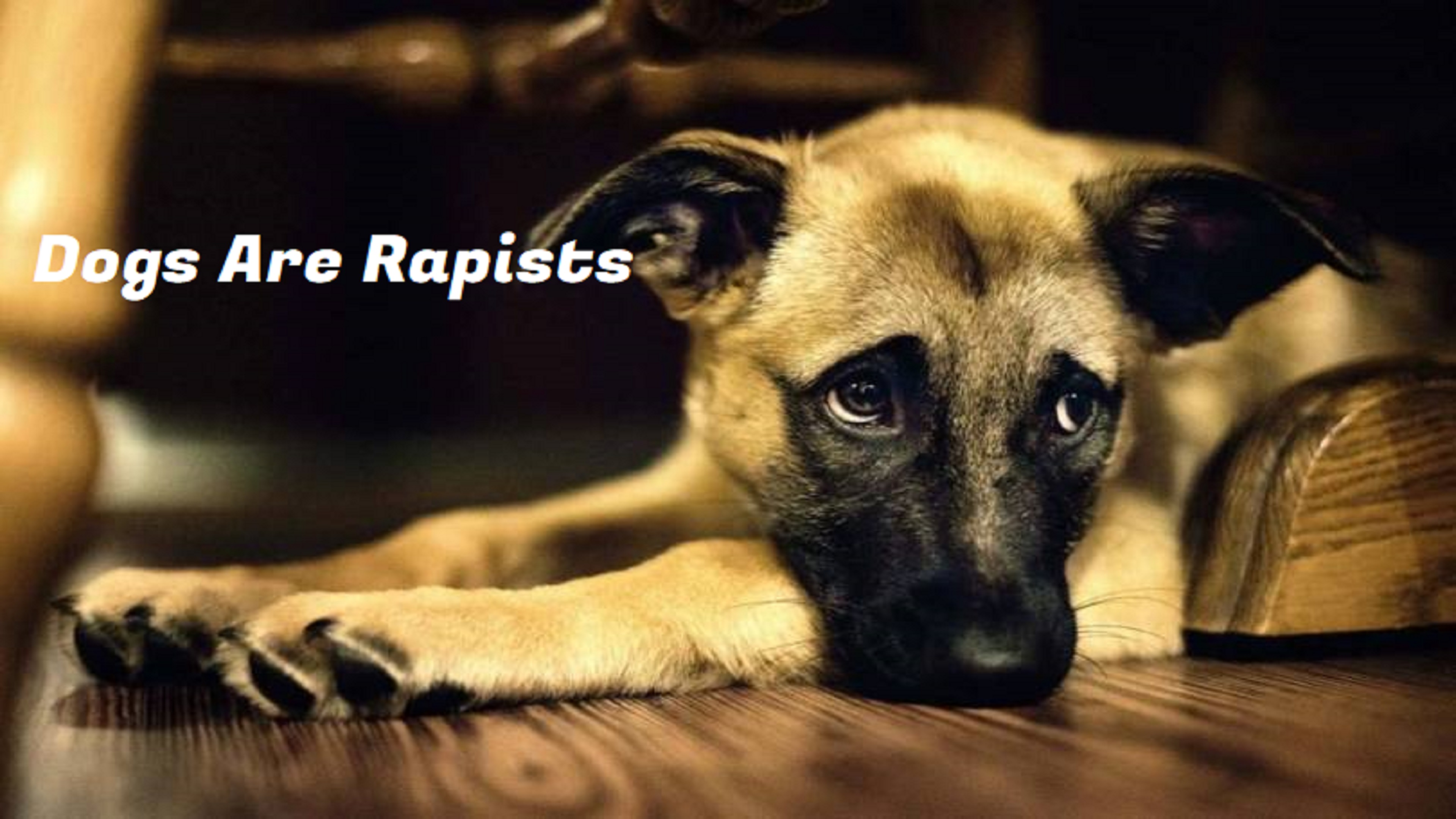 Dogs Are Rapists