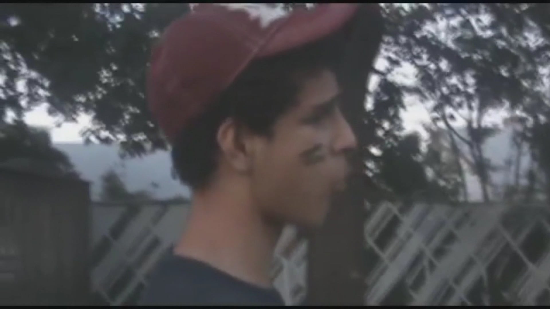 Dogs Are Rapists Part 2