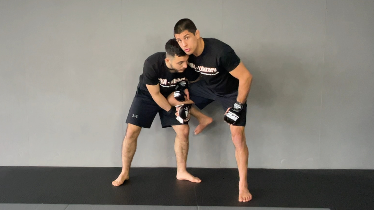 EXPLANATION FOR SINGLE LEG HEAD INSIDE DEFENSIVE POSTURE
