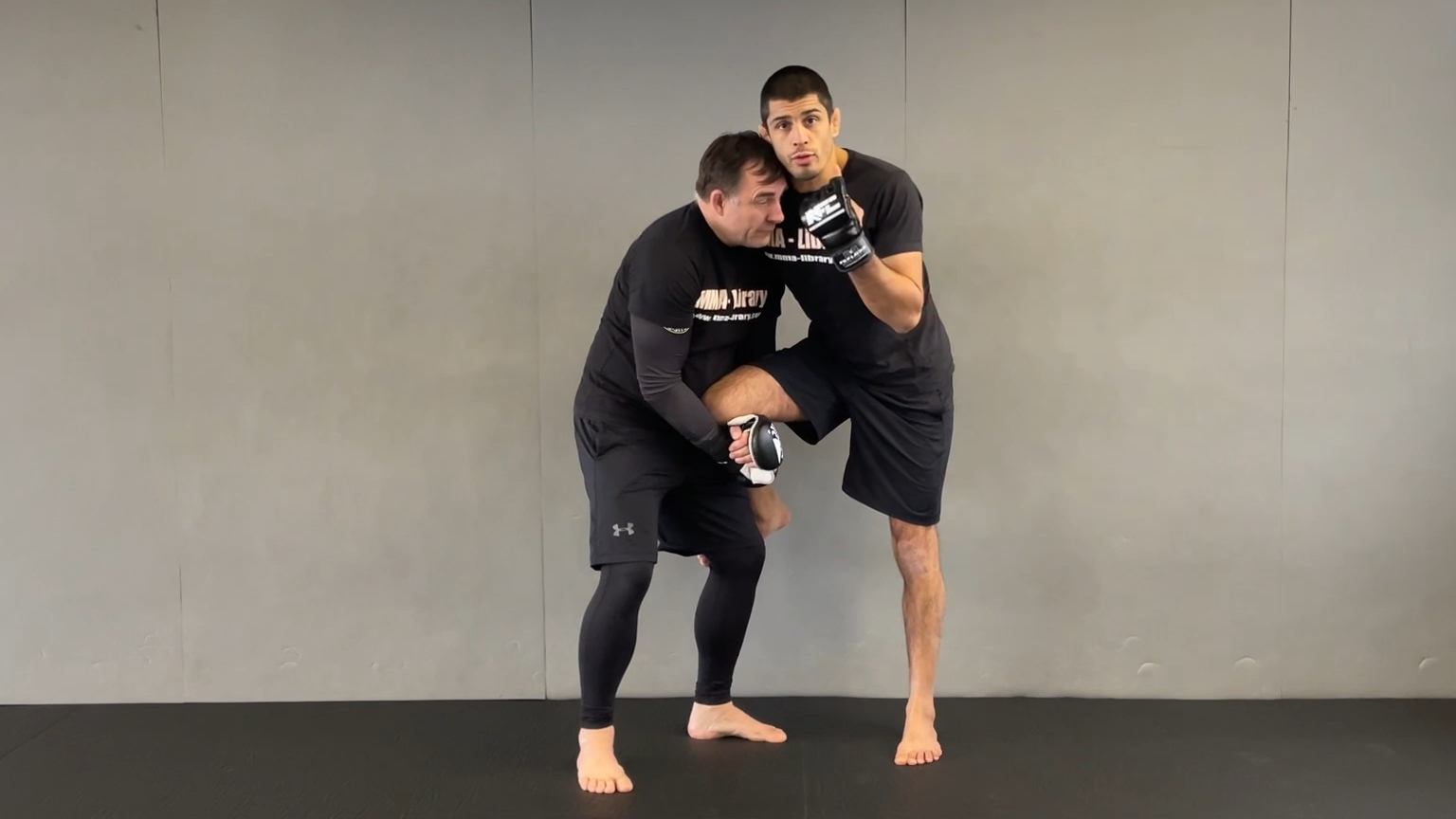 APPLICATION FÜR SINGLE LEG HEAD INSIDE SPARRING DEFENSE