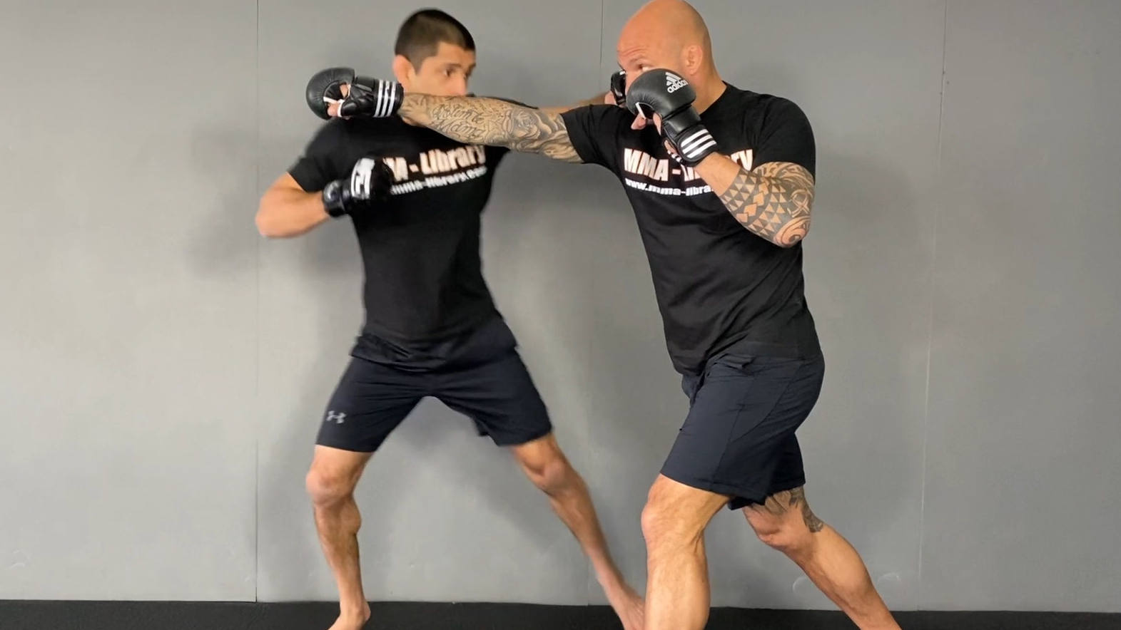 Movement Gazelle Jump 