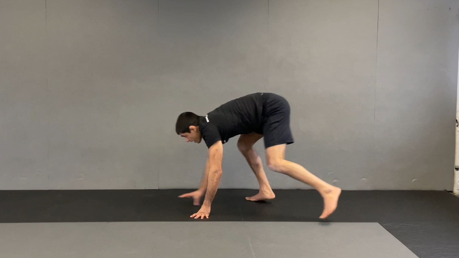 Warm Up All 4 Forward Walk