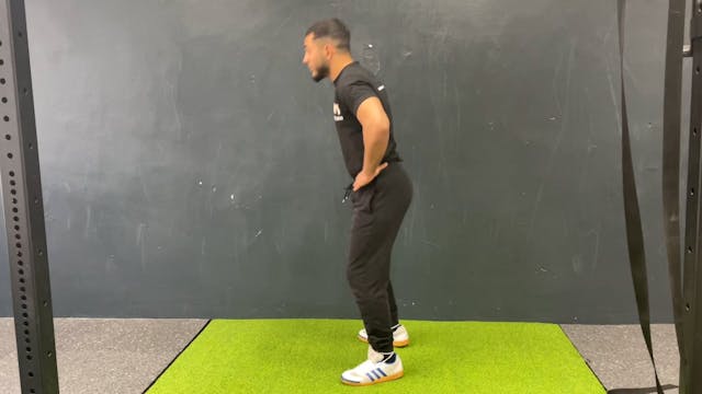 1.5 SQUATS