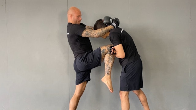 MMA Techniques