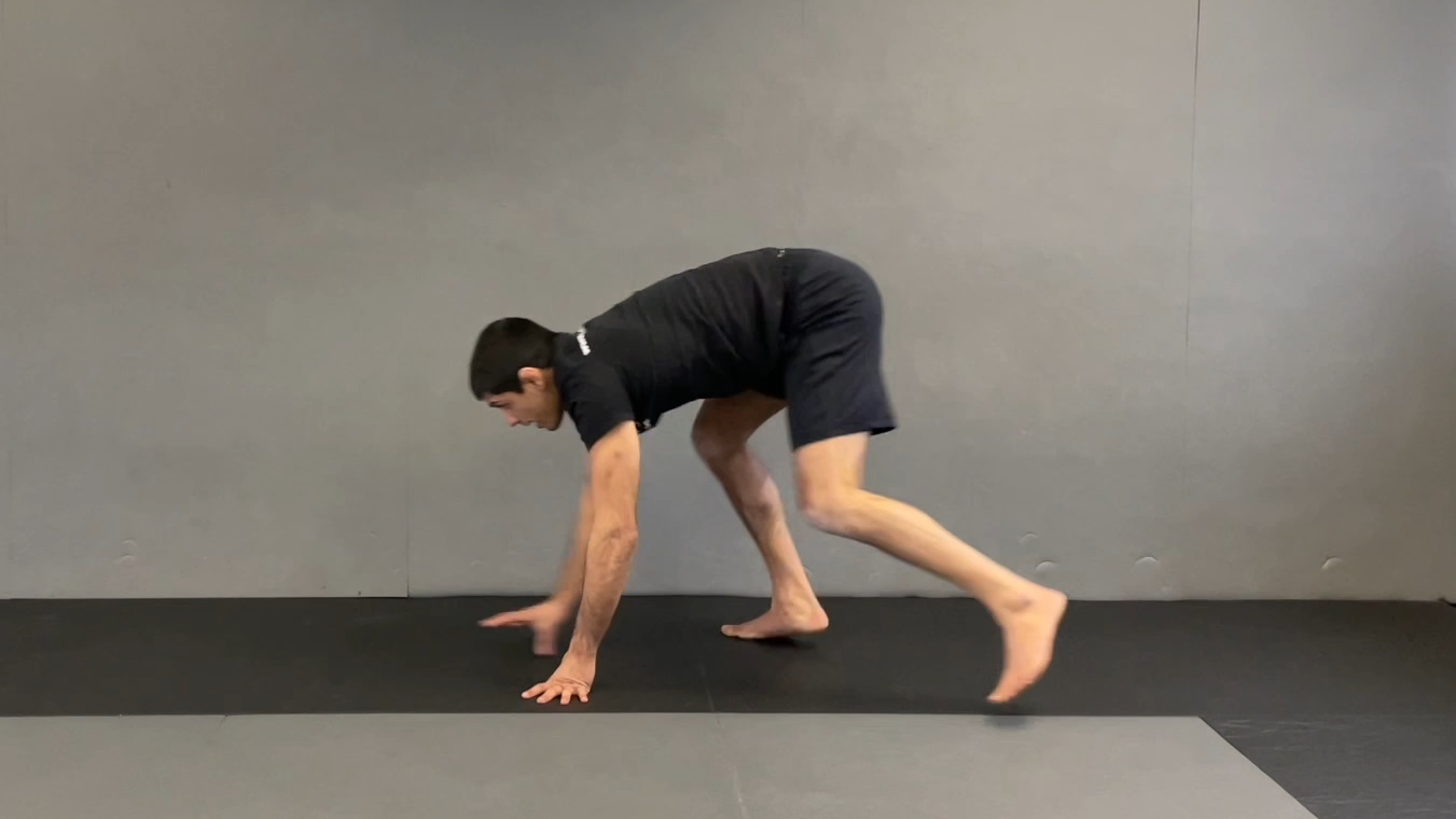 Warm Up All 4 Forward Walk