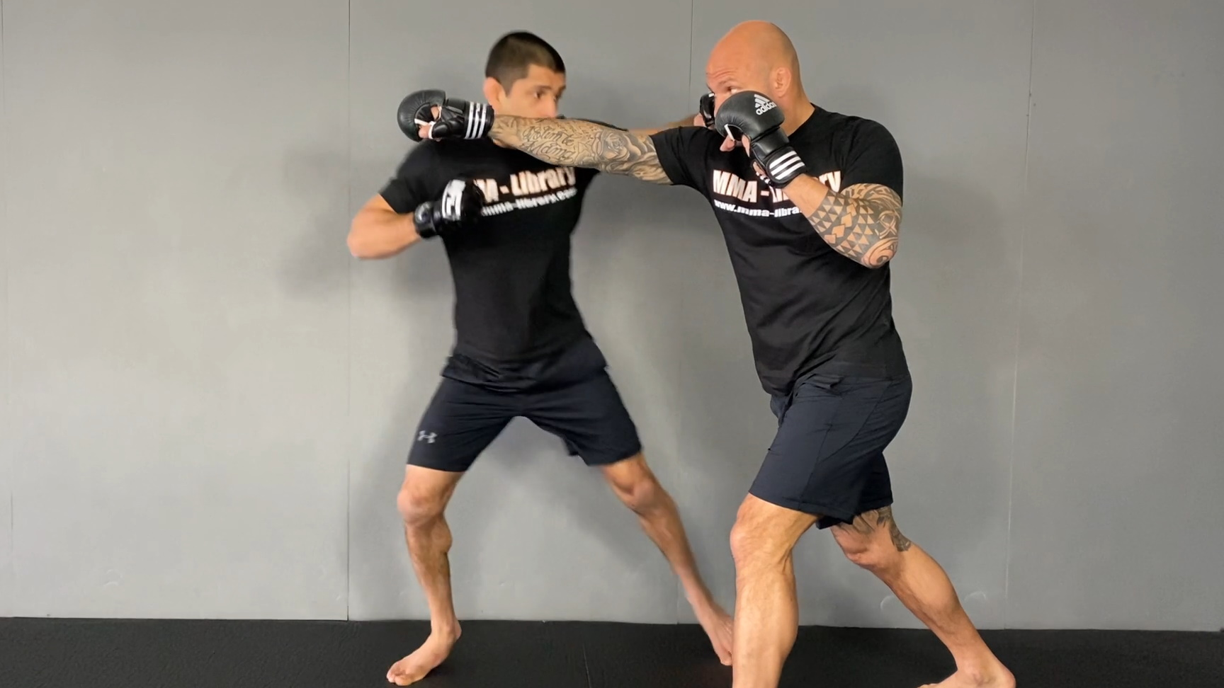 Movement Gazelle Jump DE