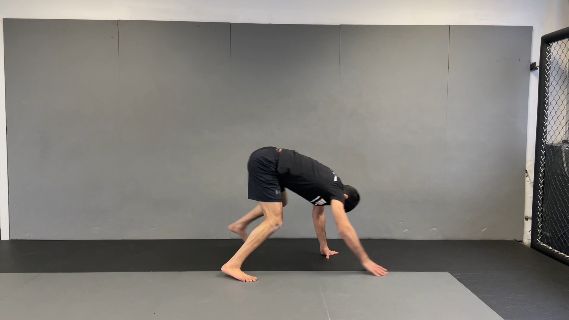 Warm Up All 4 Backward Walk