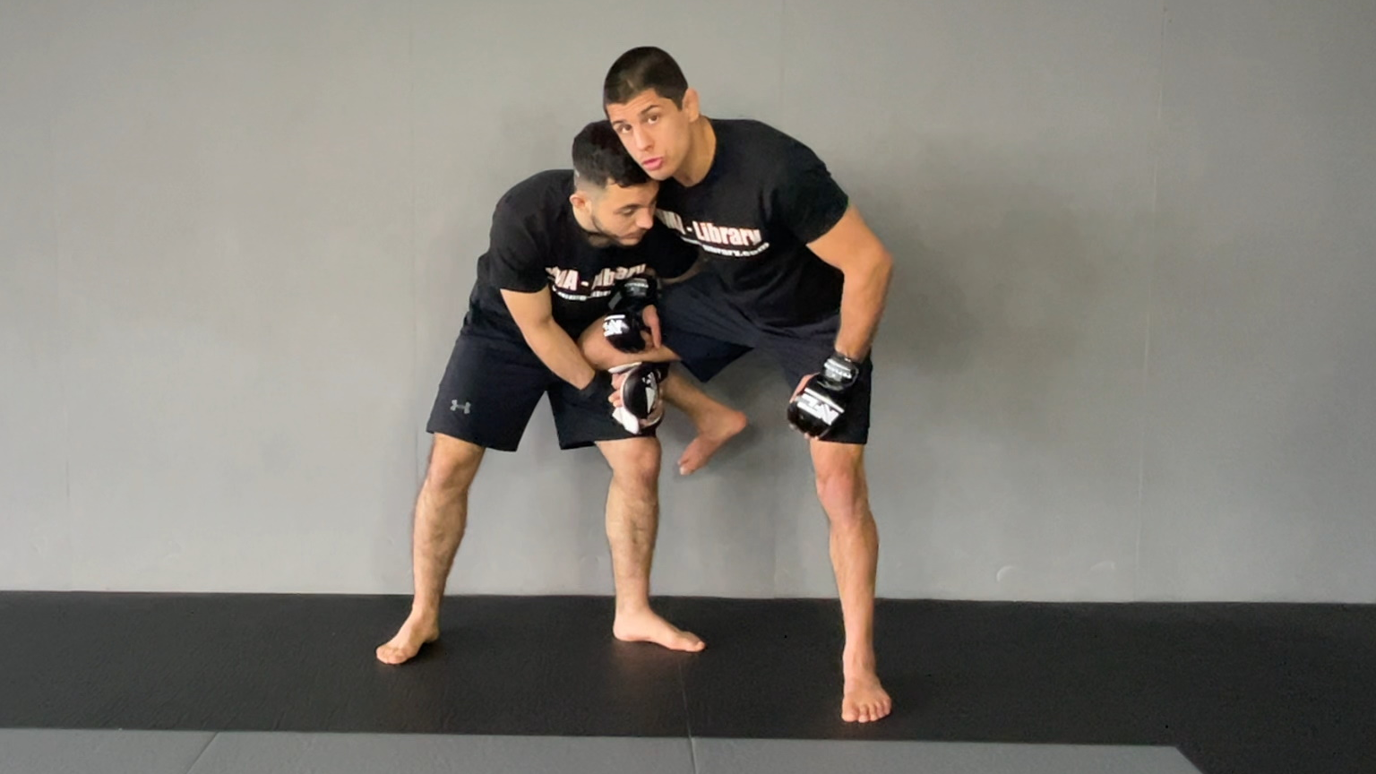 EXPLANATION FÜR SINGLE LEG HEAD INSIDE DEFENSIVE POSTURE