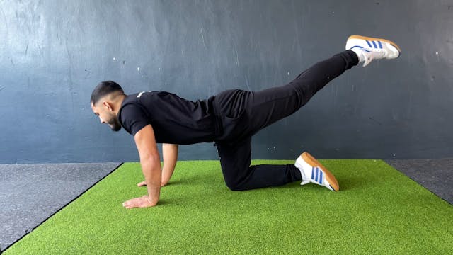 QUADRUPED HIP EXTENSION