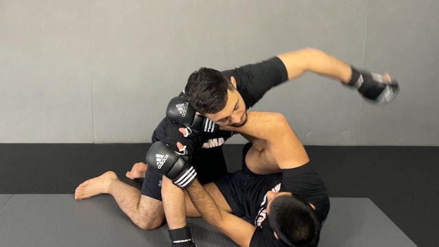 Explanation for Half Guard Defense Against Strikes