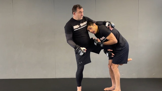 APPLICATION FOR SINGLE LEG HEAD INSIDE SPARRING OFFENSE