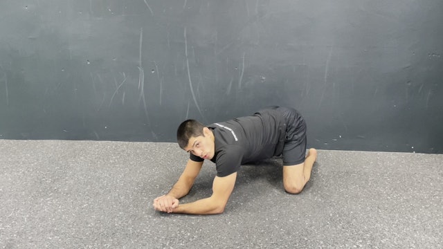 Plank Shoulder Rotation