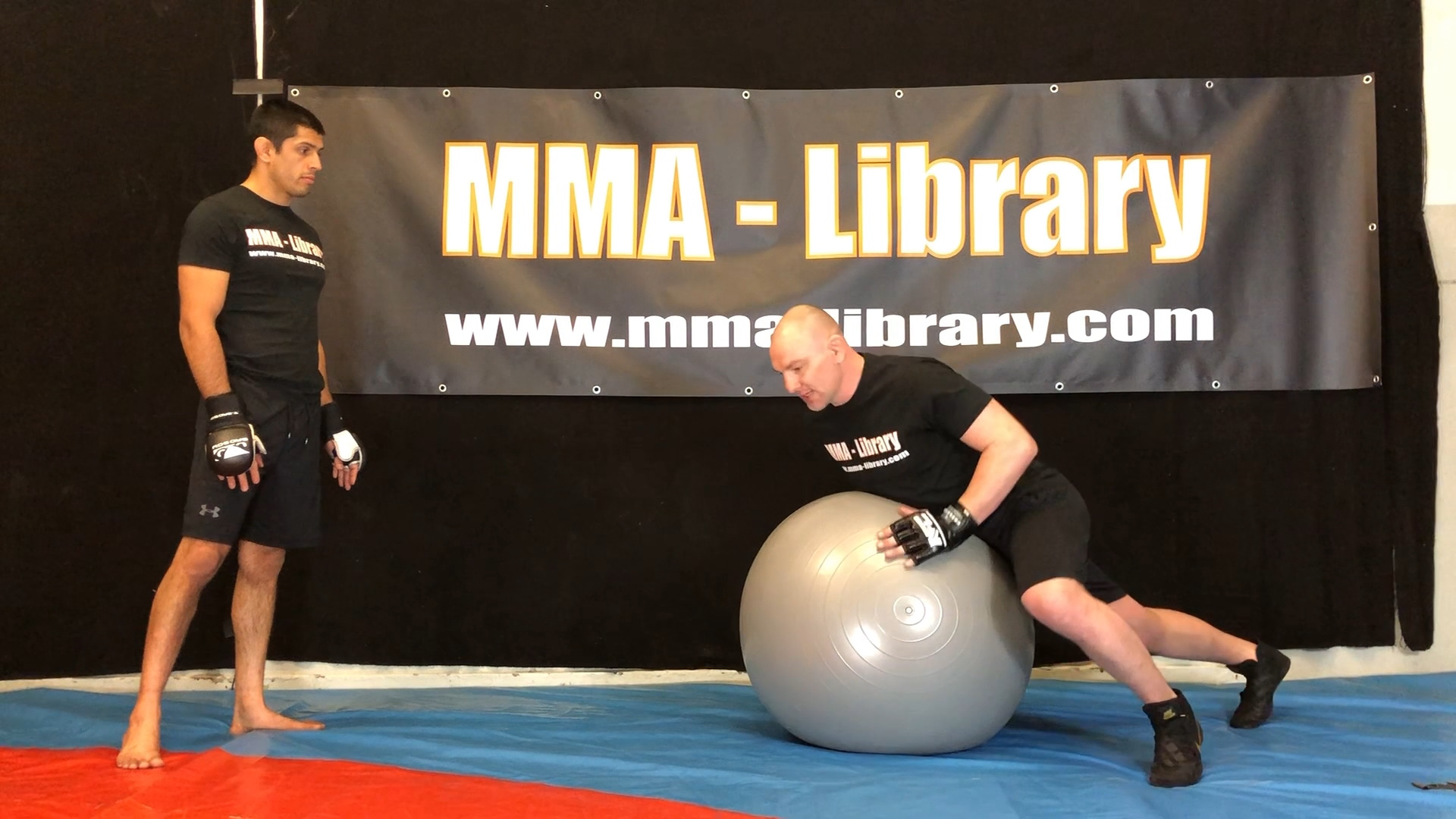 Application for Sprawl with the gymnastic ball