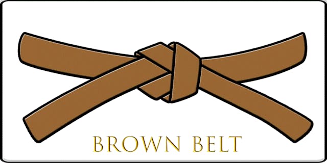 KORITSU SENTO BROWN BELT