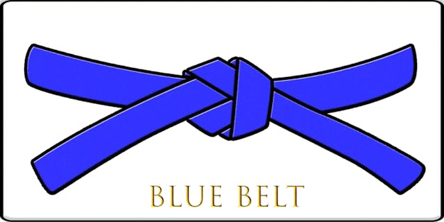 KORITSU SENTO BLUE BELT