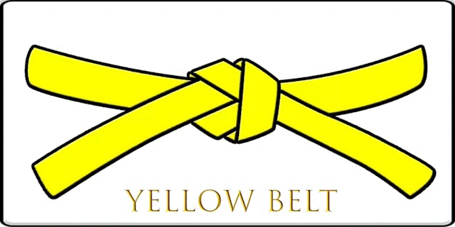 KORITSU SENTO YELLOW BELT