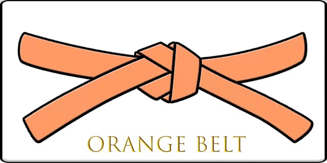 KORITSU SENTO ORANGE BELT