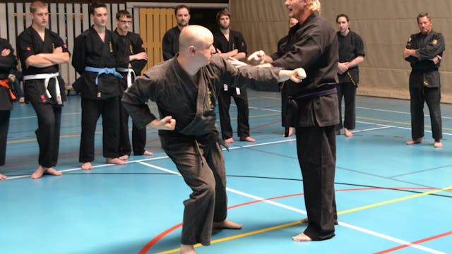 Core Concepts of Kosho Ryu