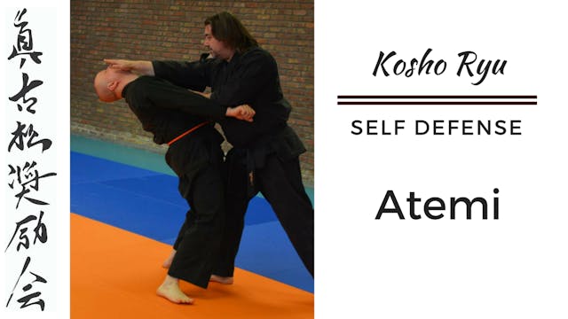 Self Defense - Conceptual Applications