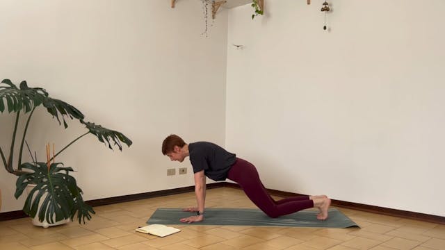 Corvo - allenamento 4/5