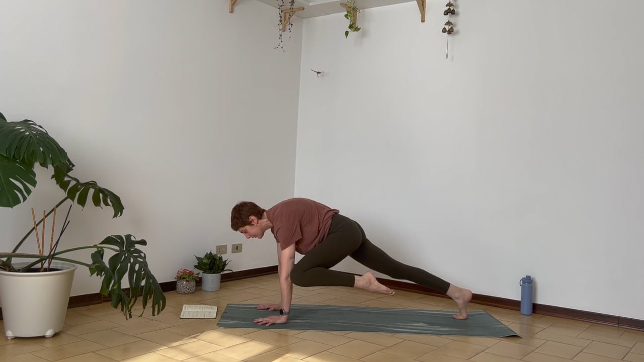 Corvo - allenamento 2/5