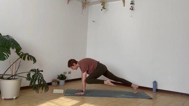 Corvo - allenamento 2/5