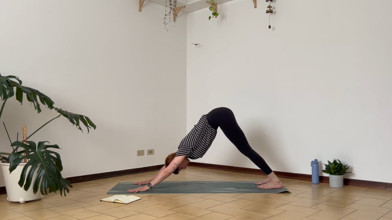 Sirsasana - allenamento 1/5